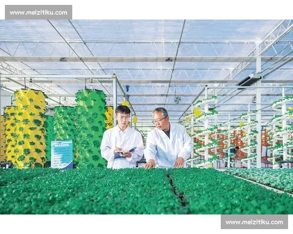 高平vs区域发展竞争态势解析与未来走向观察经济社会综合影响评估
